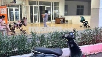 Xe ga 50cc Xanh Học sinh, phụ nữ