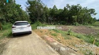 Bán đất nền KCN Lam Sơn Sao Vàng giá tốt 