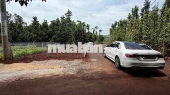 580 TRIỆU – ĐẤT TRỒNG MÍT 51M MẶT TIỀN ĐƯỜNG | Xã Bình Giã, TP.HCM.