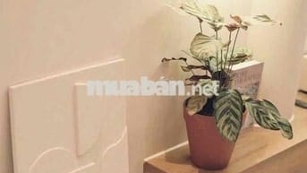 177 CHO THUÊ NHÀ ĐẸP 3 TẦNG 4PN 4WC – FULL NỘI THẤT