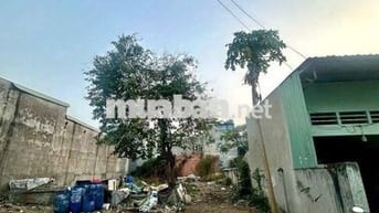 lô đât 164m phường dĩ an tp hồ chí minh giá rẻ bất ngờ