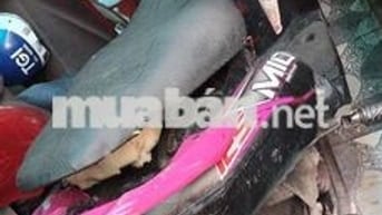 Yamaha Mio Ultimo Đen, Hồng Hở bạc