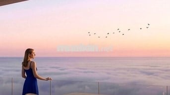 REGAL COMPLEX TỌA ĐỘ VÀNG THANH TOÁN DÀN TRẢI TIÊU CHUẨN VƯỢT BẬC