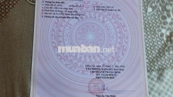 đất gần khu công nghiệp Giang Điền Trảng Bom đồng Nai đất vuông vứt đe