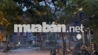 🏠 Cho thuê nhà 5PN – 5WC, 1 trệt 2 lầu ST, Đặng Thùy Trâm, Bình Thạnh