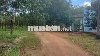 Bán đất xã Tân Định , Bắc Tân Uyên, Thành Phố Hồ Chi Minh