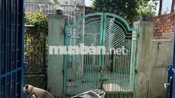 CHO THUÊ NHÀ NGUYÊN CĂN GẦN GA METRO KHU CÔNG NGHỆ CAO – TP. THỦ ĐỨC