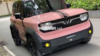 VinFast VF3 Hồng Dưới 1 năm