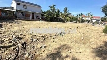Đất diện tích lớn 100% đất nhà ở