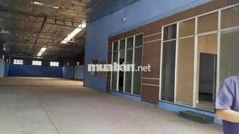 Cho Thuê Xưởng Hóc Môn 850m cont 24/24