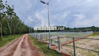 Lô đất 205 triệu sổ hồng riêng xã Hảo Đước, Châu Thành, Tây Ninh