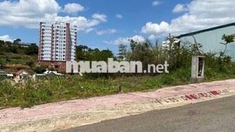 BÁN ĐẤT L35 KQH NGUYỄN HOÀNG – P7, ĐÀ LẠT