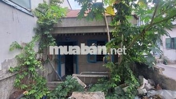 Bán nhà nát đường Kha Vạn Cân, Trường Thọ, Thủ Đức. 72m2, SHR - 3 tỷ