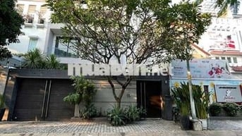 Cho Thuê Biệt Thự KDC Phú Mỹ, Vạn Phát Hưng- Liền Kề Phú Mỹ Hưng Q7