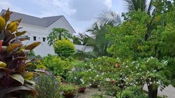 🔥C.Chủ. CỰC MỀM 330M² THỔ CƯ + VILLA MẶT TIỀN Đ.SONG HÀNH QL22.13,9Đ