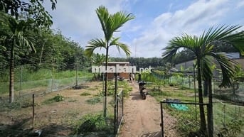 🏡 CHÍNH CHỦ CẦN BÁN ĐẤT VƯỜN ĐẸP – ĐƯỜNG DH615, LONG NGUYÊN