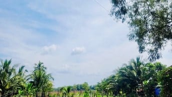BÁN 740M² ĐẤT VƯỜN CẦU KHỞI – DƯƠNG MINH CHÂU, TÂY NINH | 153M² THỔ CƯ