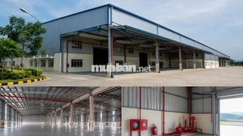 NHÀ KHO 1800M2 SẴN PCCC, TRONG KCN TẠI ĐÀ NẴNG, CHO THUÊ GIÁ RẺ 50K