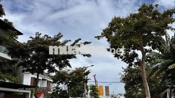 Cắt lỗ bán nhanh cho con đi du học