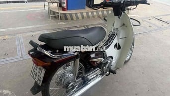 Honda Dream 2013 Nâu Trắng
