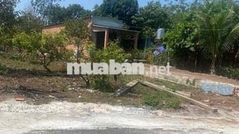 Đất Vườn Có Thổ Cư 10x50m Mặt Tiền Đường Nhựa