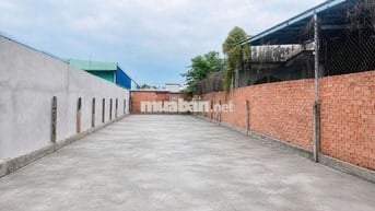 10x38=379m2 thổ cư Đường DT84 cạnh KCN Trảng Bàng, SHR, Giá 650tr