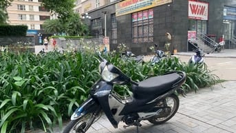 Xe 50cc màu đen cho học sinh không cần bằng lái