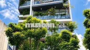 🏢 ĐẠI KHAI TRƯƠNG CHUNG CƯ CAO CẤP 2 PHÒNG NGỦ BANCOL NGAY ĐẦM SEN