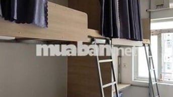 Đại học Hoa Sen HSU Thành Thái Phòng thuê ghép Văn phòng Sinh viên