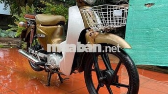 Cup 50cc Vàng đồng, Trắng