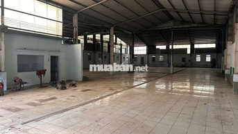 Cho thuê xưởng Thuận Giao 2000m2 có pccc giá 90 tr/ tháng có VP 