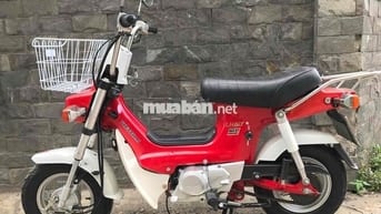 Chaly 50cc xe 50 phân khối đời 2023 ado 6.000km