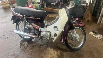 Honda Dream Thái 2023 Đỏ mận, Trắng