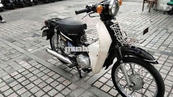 xe cup 50cc