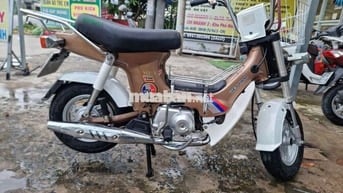 HALY CHA S Nâu, Trắng 1960 km