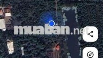 đất vườn xoài gần chợ khu dân cư