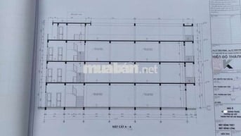 QUANG TRUNG GV | HĐ 10 NĂM KHÔNG TĂNG GIÁ,CÓ  PCCC - NHÀ MỚI 100% 🚨