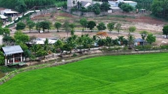 CHỈ TỪ 350 TRIỆU SỞ HỮU LÚA FARM STAY - VIEW CÁNH ĐỒNG
