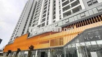 CHO THUÊ AURORA Q8, OT GIÁ 6TR, 1PN GIÁ 8TR5, 2PN GIÁ 11,5TR