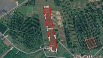 [L2682*] Đầu Tư Sinh Lời Khủng Từ 1.8Ha Đất Sát Chợ Truông Mít - 5.x T