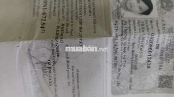 vision đăng ký 2025