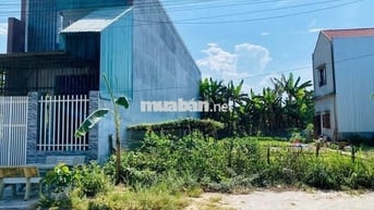 Chính chủ bán nhanh 161m2 giá 650 triệu đường Tỉnh Lộ 7 xã Thái Mỹ shr