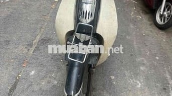 Cub 50cc 2022