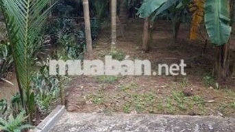 Đất vườn thổ cư xã Mỹ Thạnh huyện Giồng Trôm tỉnh Bến Tre