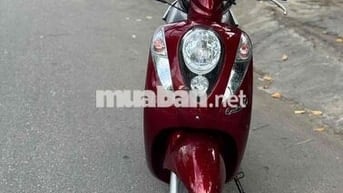 SYM Elite 50cc Đỏ 50cc siêu lướt
