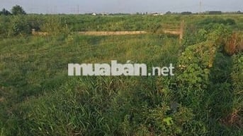 Bán đất 700m² – CÓ 122m² ĐẤT Ở – PHÚ SƠN 2, HÒA KHƯƠNG – CHỈ 1,85 TỶ