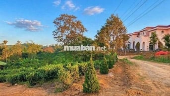 ✨ Chỉ 2,8 tỷ sở hữu lô đất ôm suối đẹp bậc nhất Bảo Lâm