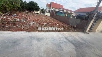bán đất 241mv giá chưa đến 8tr/mv tại Tiên Lãng