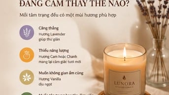 Tìm mua nến thơm trang trí và thư giãn? Tham khảo Lunora