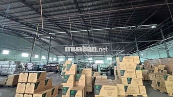 Cho thuê kho xưởng 2000m2- 3000m² -5000m2-10.000m2 Đức Hoà Long An 